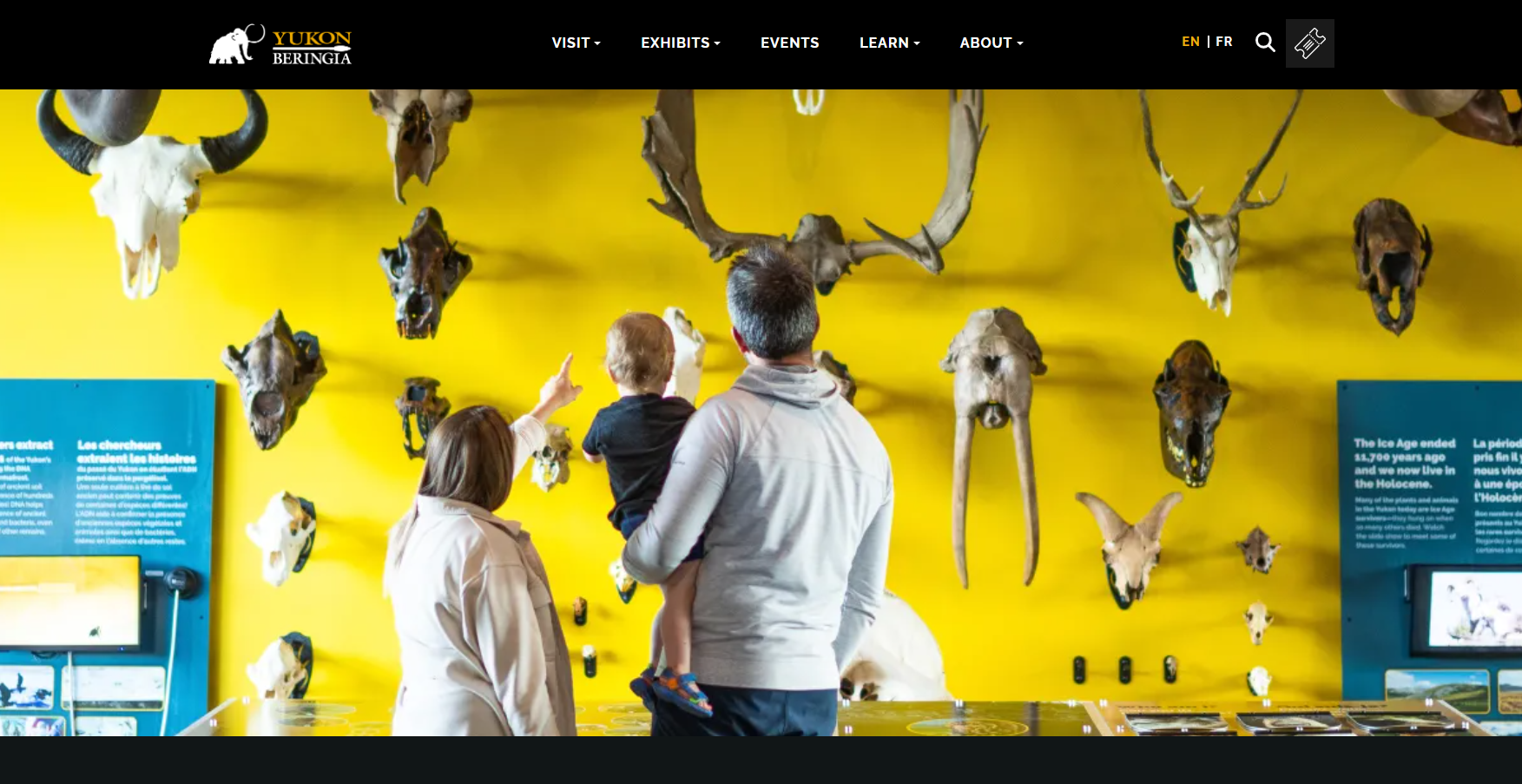 Bizont Services | Beringia Centre